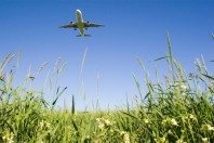 Aviation biofuels_Picnik.jpg